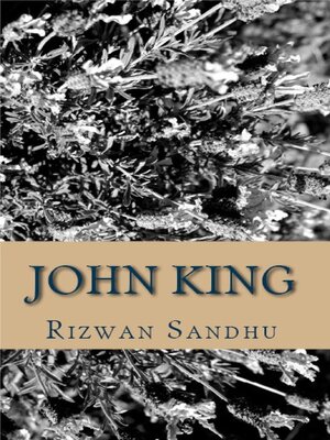 cover image of John King